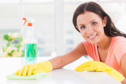 Cleaning team serving homes and businesses in N22