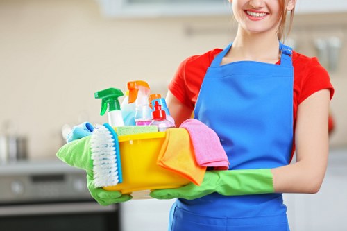 Local house cleaning service for homes in N22
