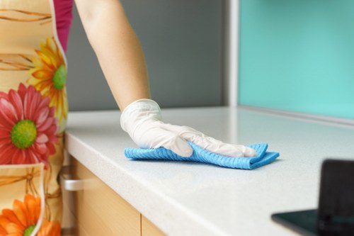 Governing law and compliance section for carpet cleaning terms