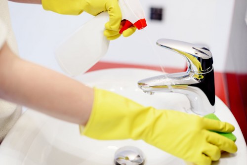 Deep cleaning service for homes in N22 with detailed room care
