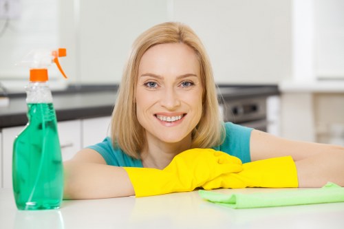 Professional cleaners servicing homes and flats in N22