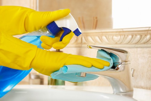 Washroom and kitchen cleaning in a professional office setting