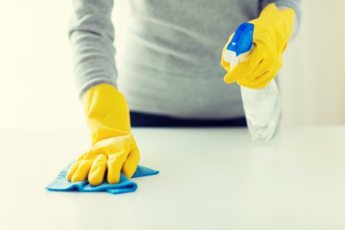 Dust and stain removal from a hallway rug in N22