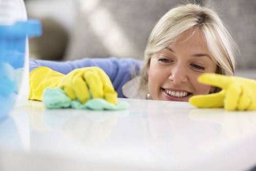 Deep carpet cleaning for busy hallways and family rooms in N22