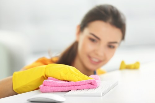 Domestic cleaning team working in a North London flat