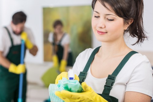 Regular and one-off cleaning options for N22 households