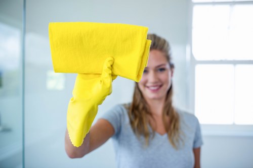 Furniture cleaning equipment prepared for sofa cleaning in N22