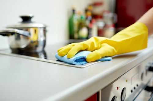 End of tenancy cleaning for a flat in N22