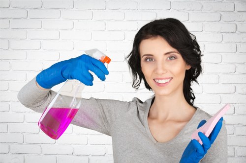 Routine house cleaning for a busy household in the N22 area