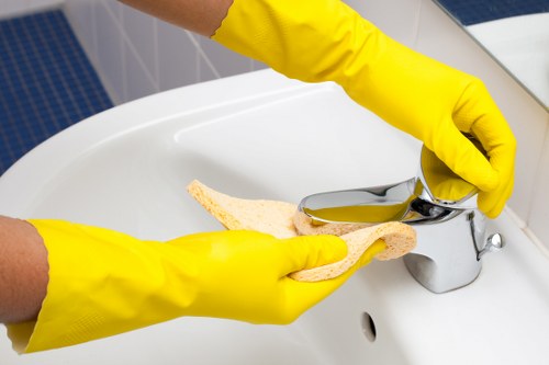 Professional home cleaning visit for a local N22 residence