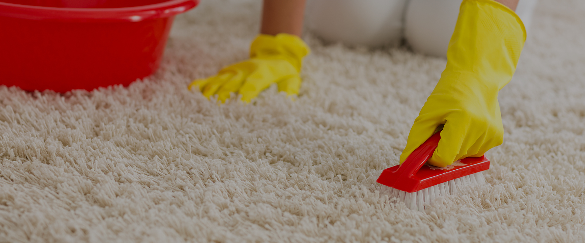 Carpet Cleaning N22